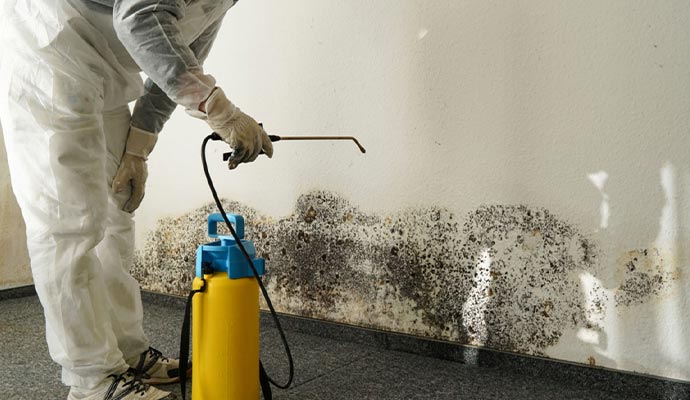 Black Mold Remediation in Baton Rouge & Gulf Coast | Frontier
